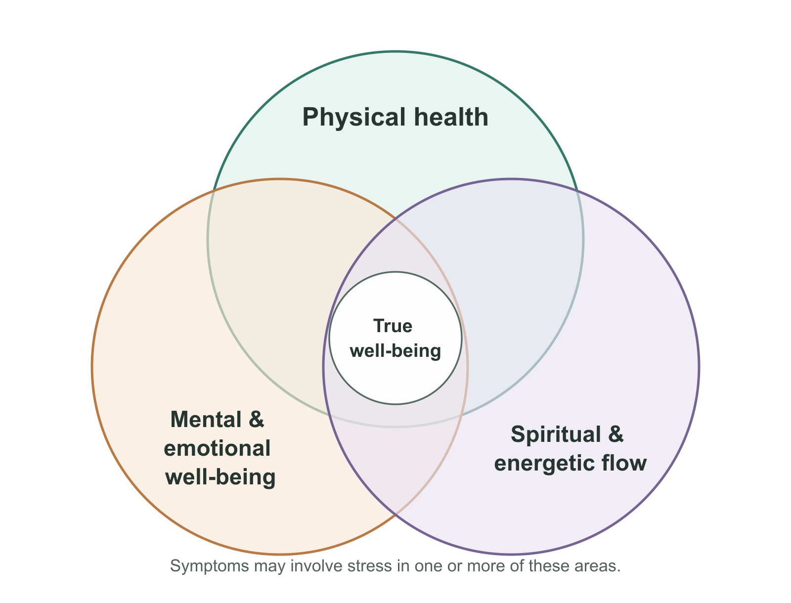 Physical health, mental and emotional well-being, and spiritual and energetic flow overlap at true well-being.