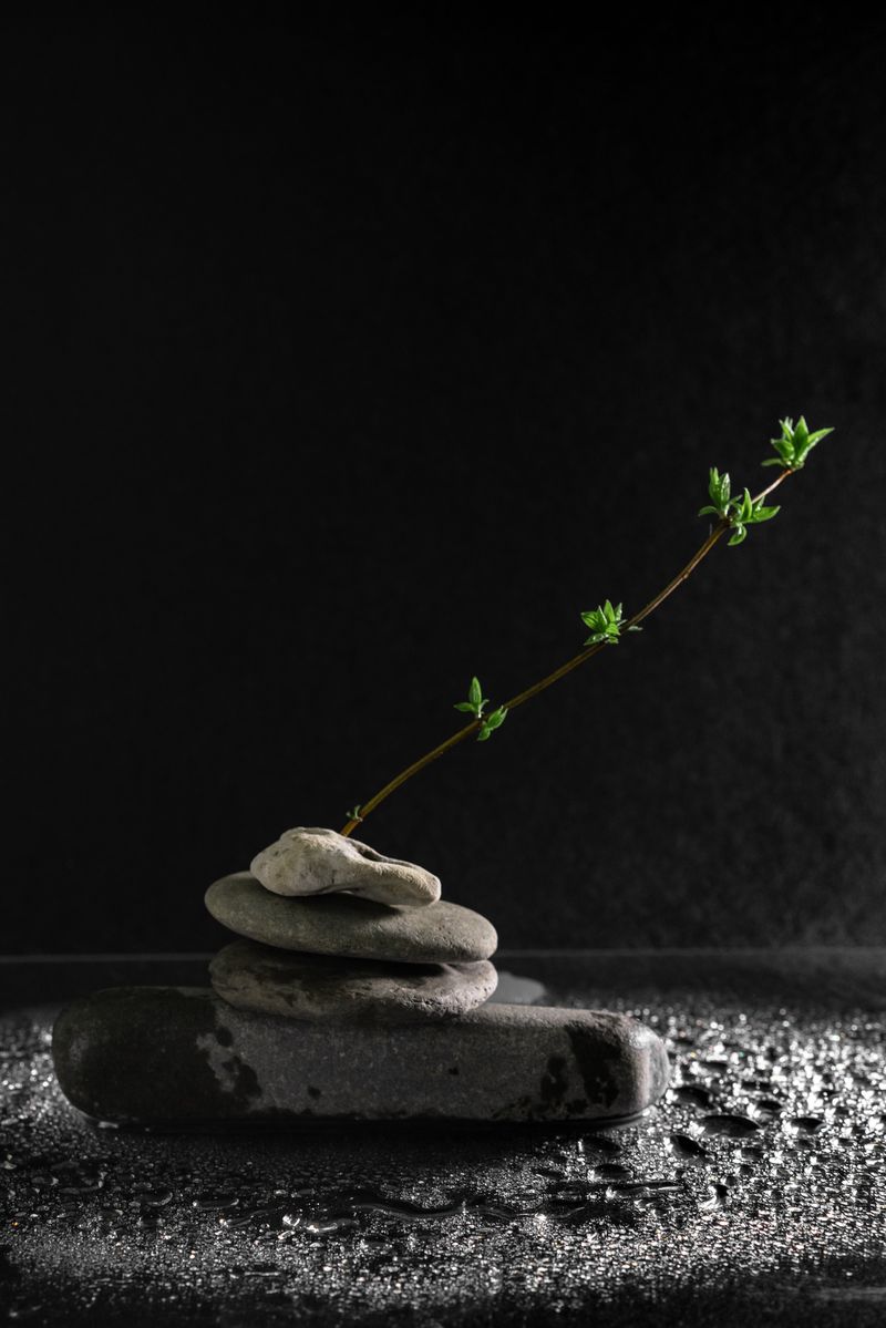 Natural stones and a green branch, shown as illustrative stock photography.